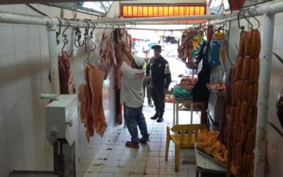 Autoridades incautan 387 kilos de carne en Ibagué por malas condiciones sanitarias