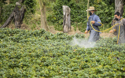 ¿Amenaza a la Autonomía Agropecuaria? Hubert Ariza analiza la nueva resolución del Minagricultura