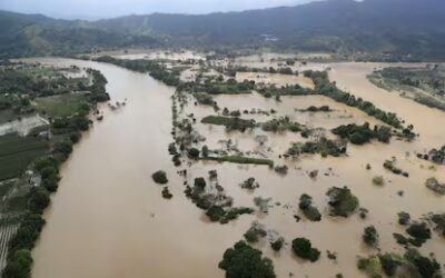 Córdoba en emergencia: miles de hectáreas bajo agua y decenas de miles de damnificados