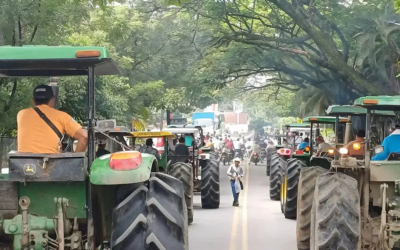 Arroceros anuncian paro nacional desde el 2 de marzo y el Tolima se prepara para movilizaciones