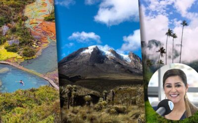 Cultura y turismo consolidan crecimiento del empleo en el Tolima