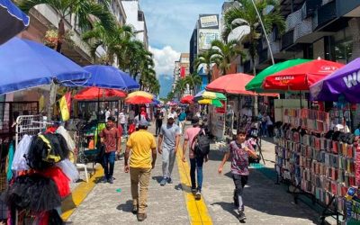 Concejal expone los desafíos para la nueva directora de Espacio Público en Ibagué