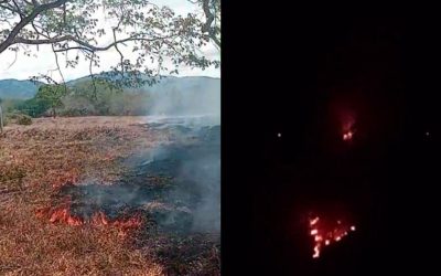 Incendio forestal continúa activo y genera preocupación en la vereda Llanos