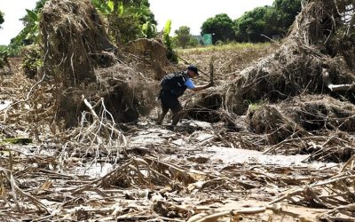 Sequía e incendios afectan el suministro de agua en Coyaima