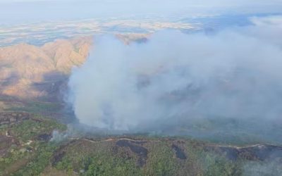 Incendio subterráneo afecta 14 hectáreas de bosque en Galilea, Tolima
